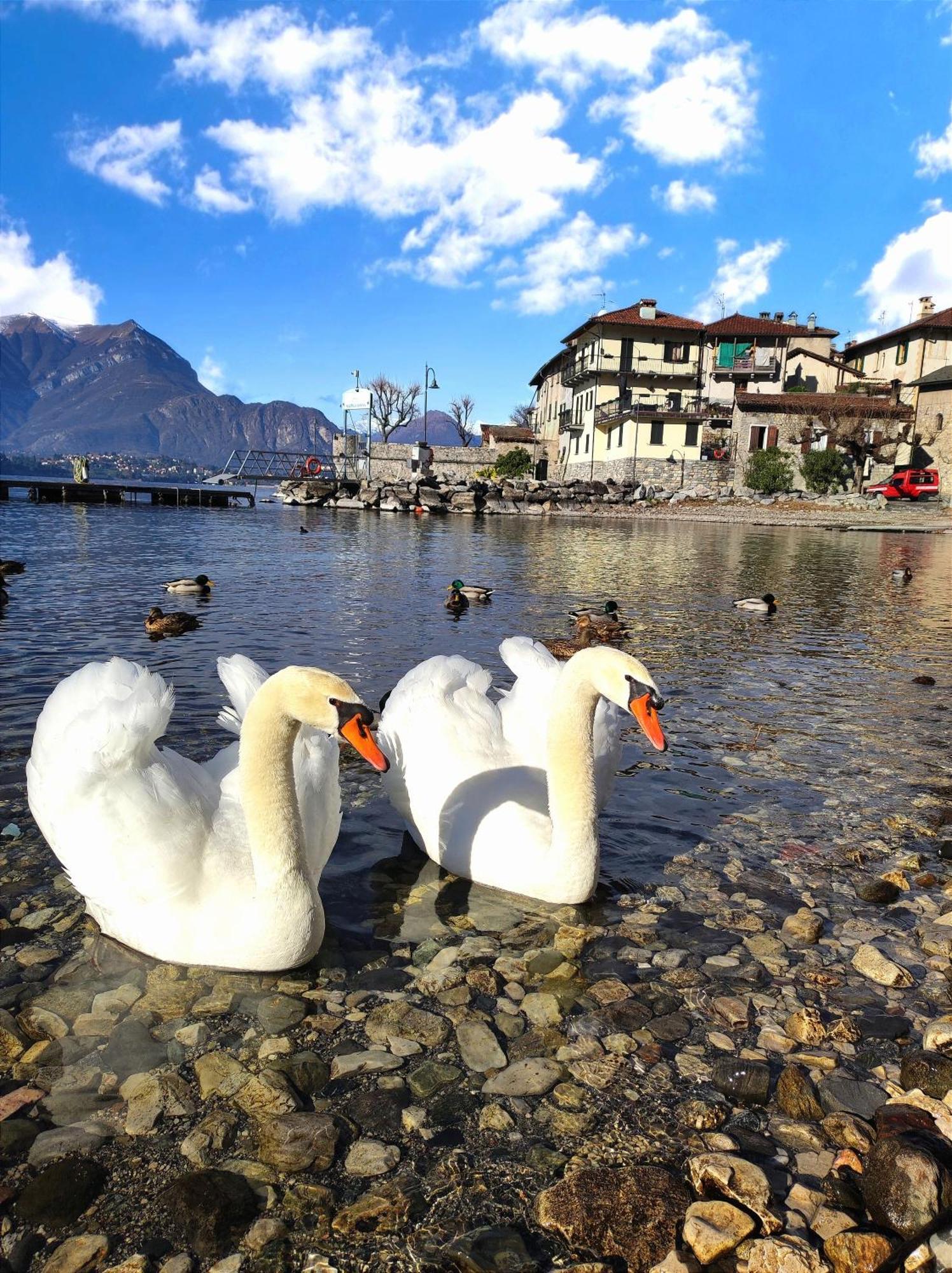 B&B Le Fate Del Lago เลียร์นา ภายนอก รูปภาพ