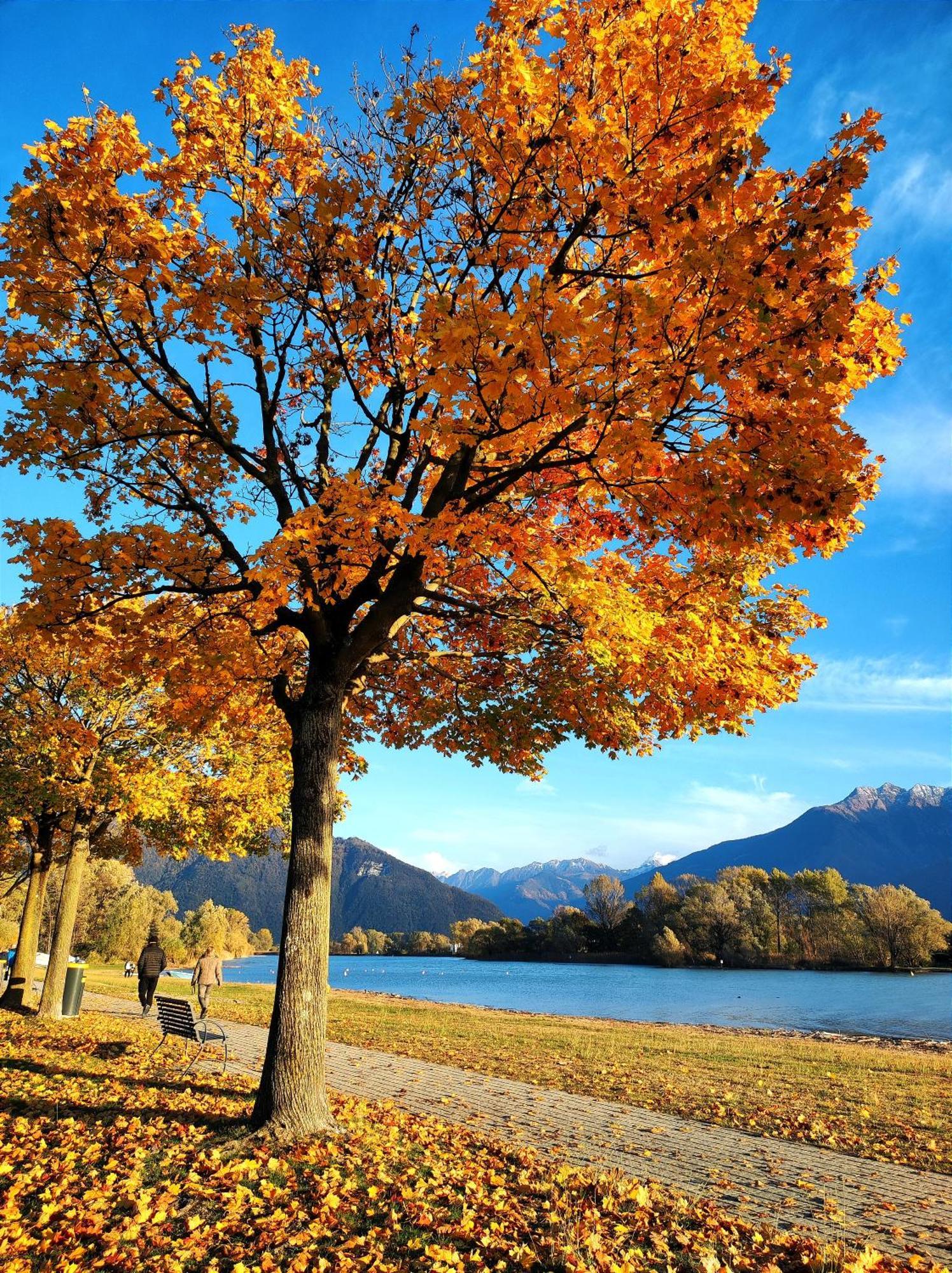 B&B Le Fate Del Lago เลียร์นา ภายนอก รูปภาพ